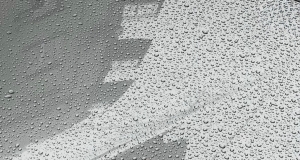 风似当年，人事已非。