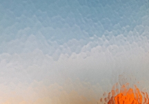 风停在窗边，嘱咐你要热爱这个世界。背景皮肤