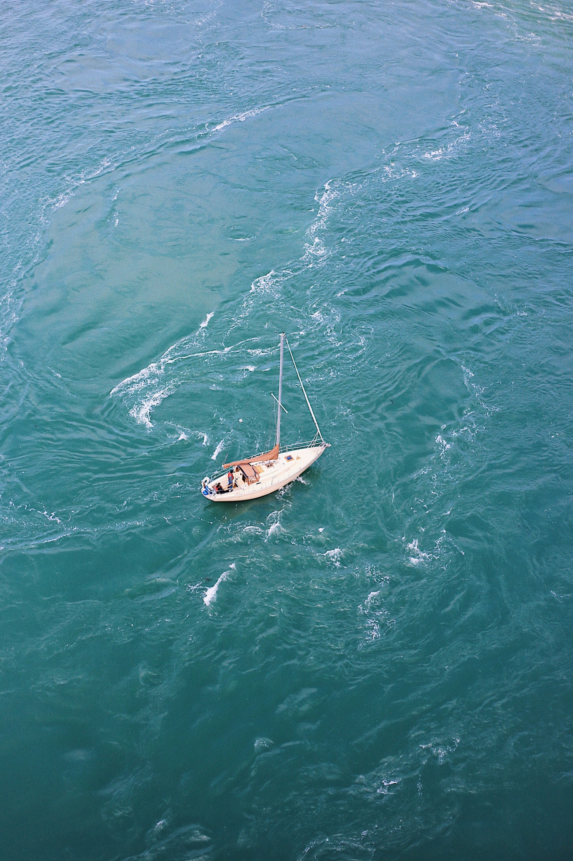 Image_1779709867964_702.jpg
