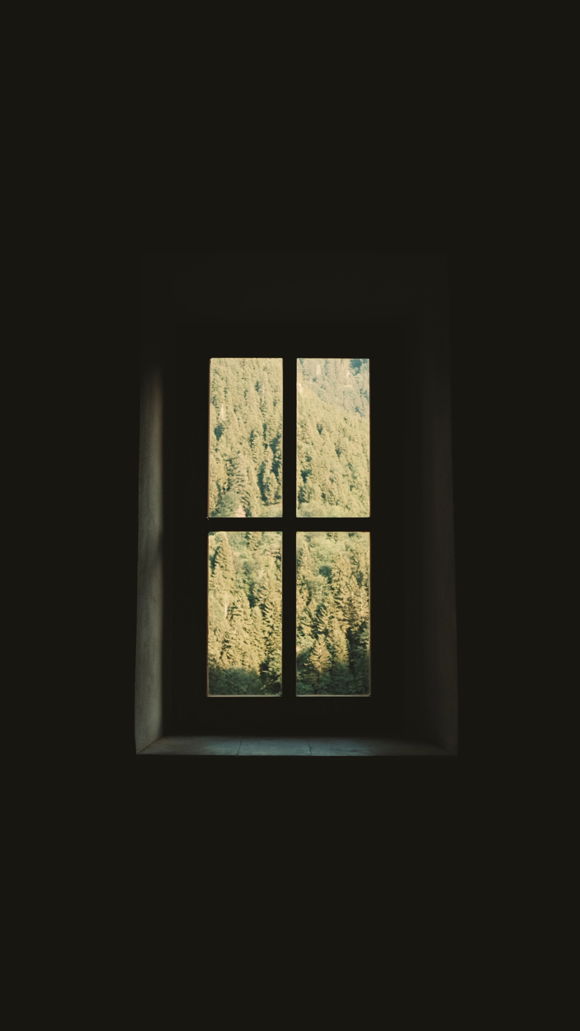 default (10).jpg