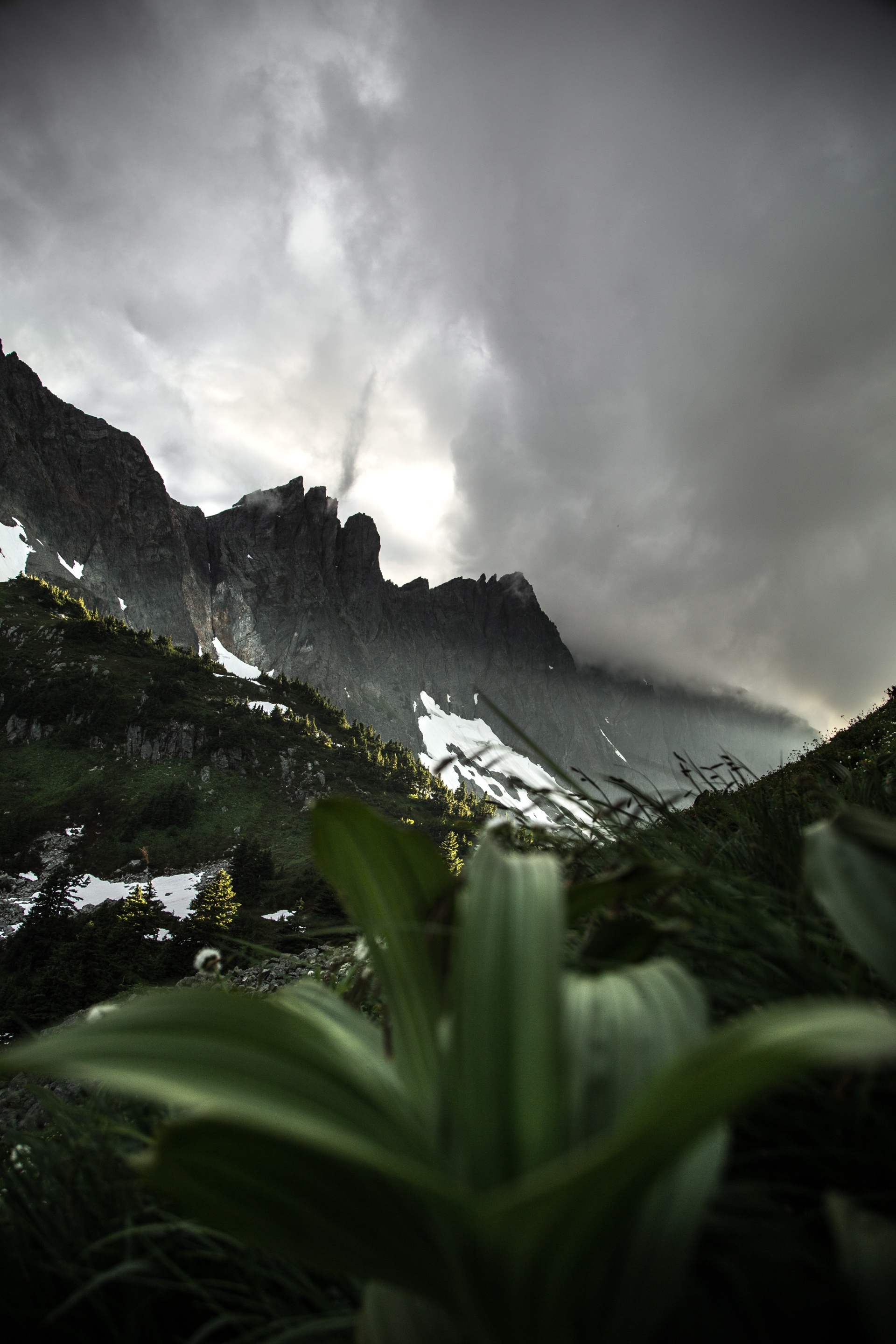 default (21).jpg
