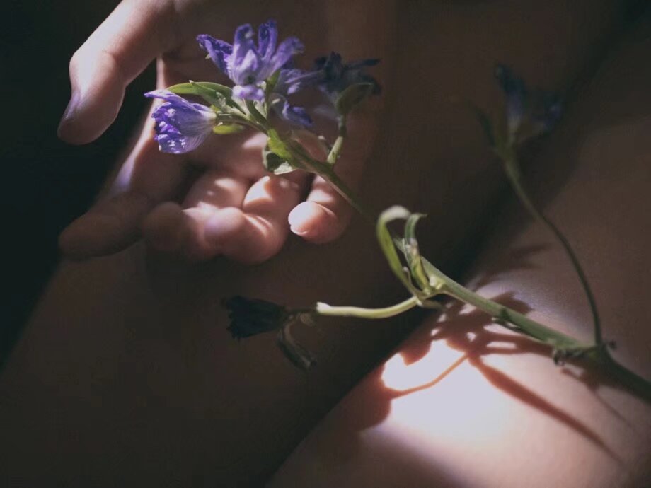 psc (1).jpg