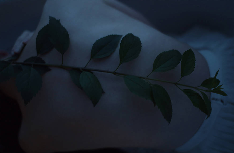 default (6).png