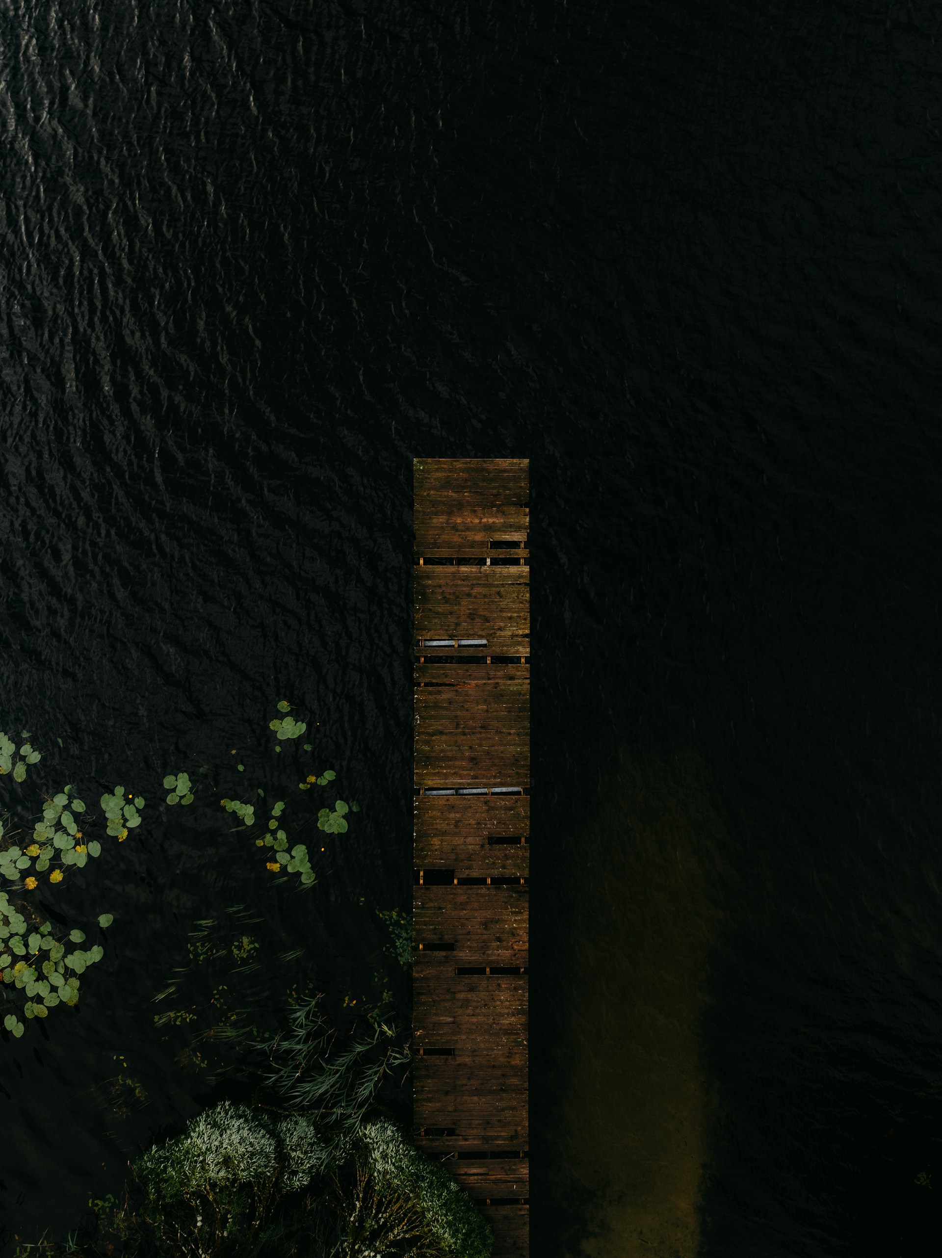 kristaps-ungurs-s_JjTQQVow8-unsplash.jpg