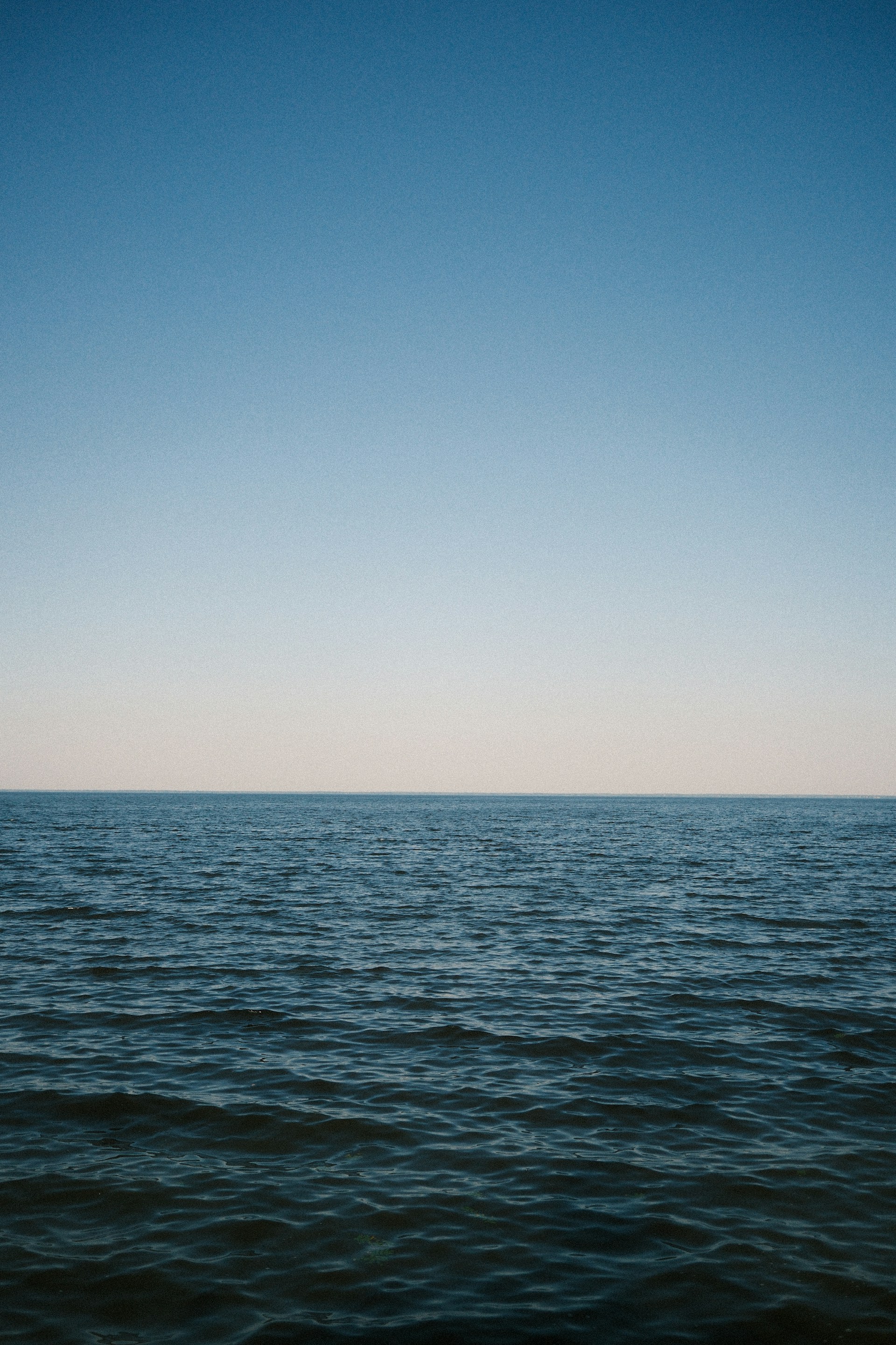 vitalii-khodzinskyi-a5bk3MTVwyU-unsplash.jpg