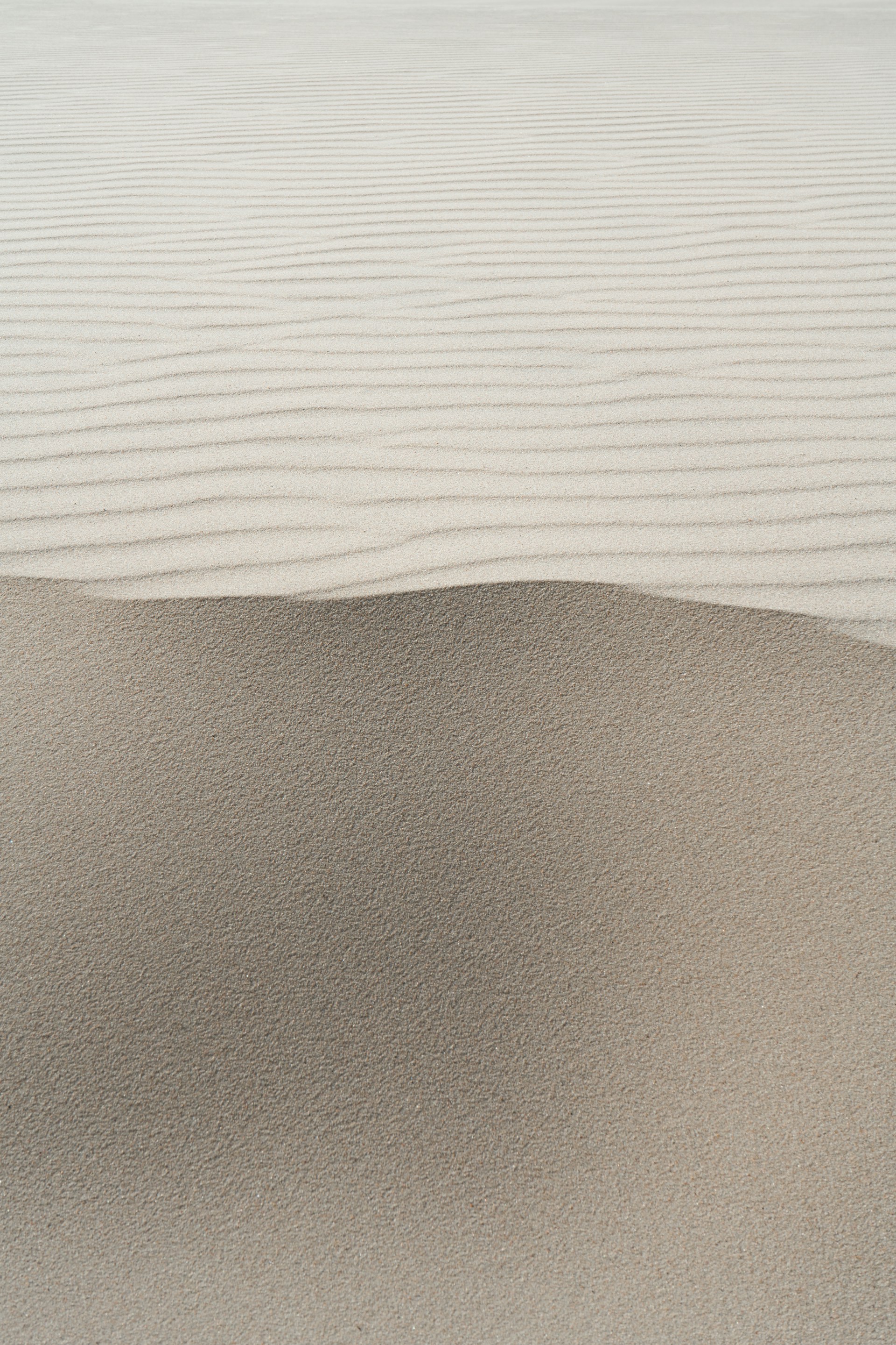 max-bohme-bixyg_ipb88-unsplash.jpg