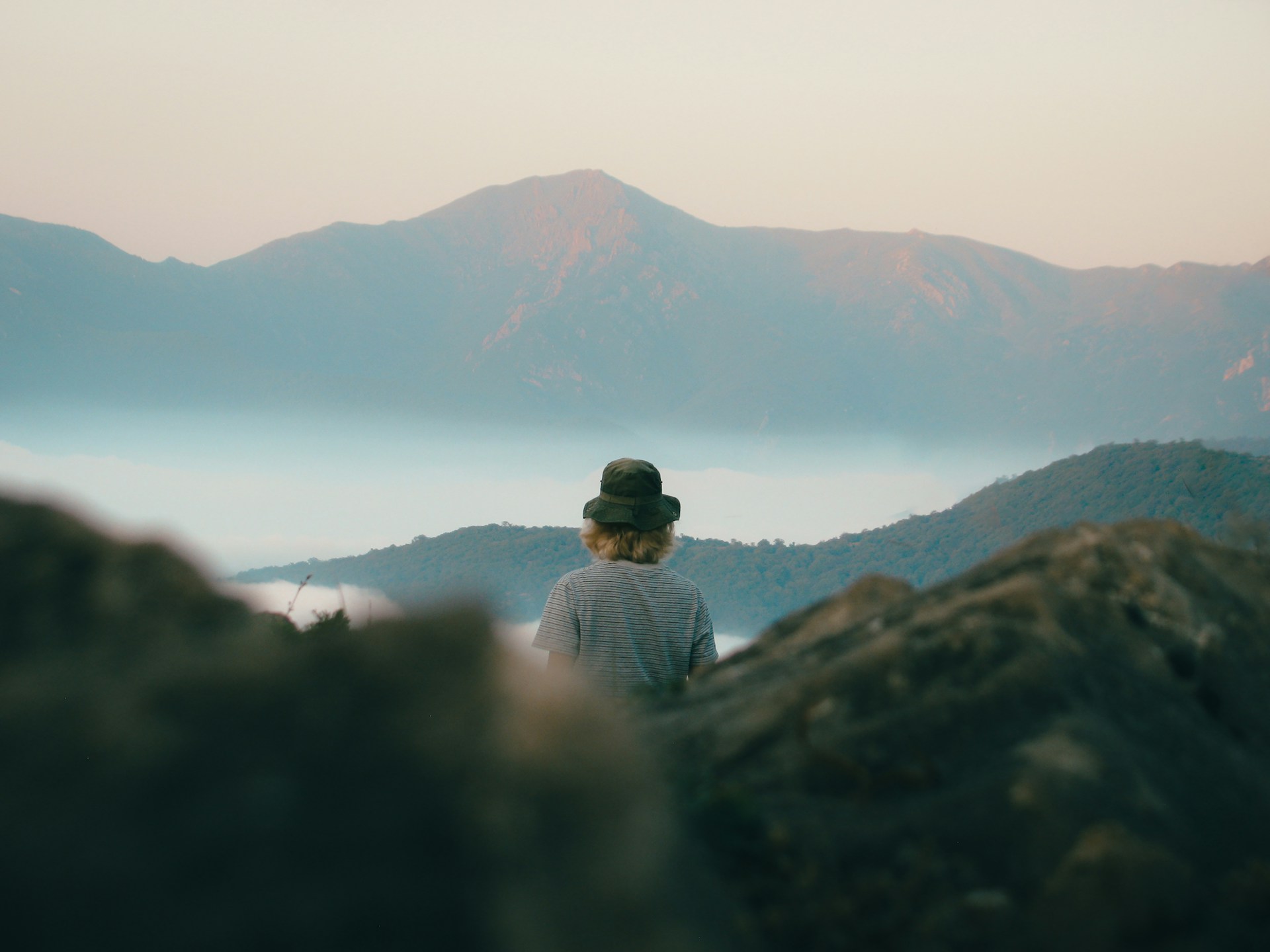 amirreza-taqavi-MQsvsG52Hos-unsplash.jpg