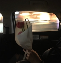 酒喝到微醺，影子也变得温柔。