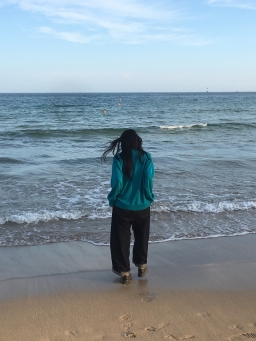 我在风中找到了自由的方向。